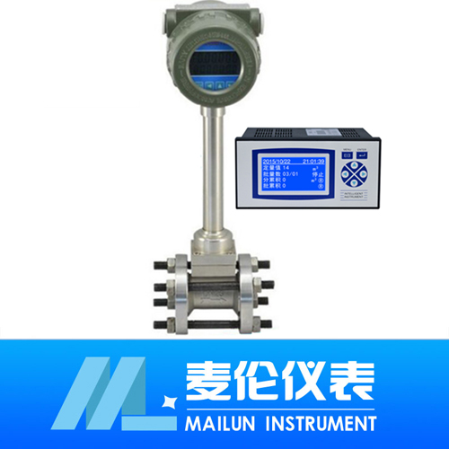 <b>分體式渦街流量計(jì)</b>