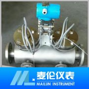 <b>楔形流量計</b>