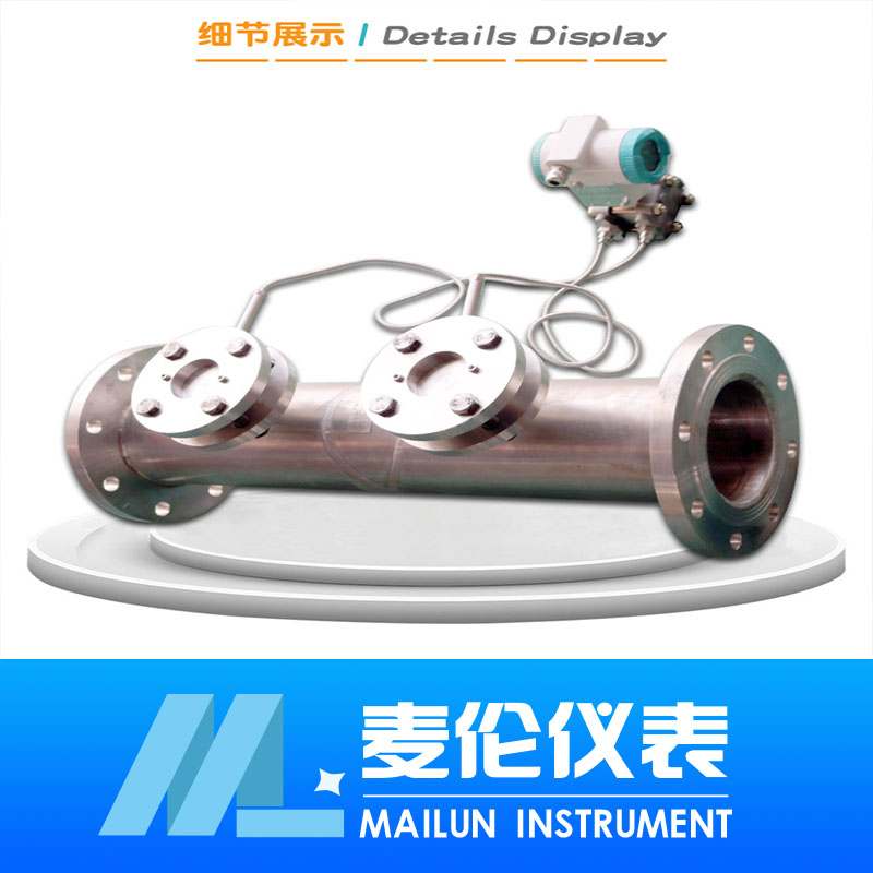 <b>楔形流量計</b>