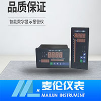 <b>智能數字顯示報警儀</b>